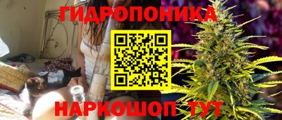 PSILOCYBIN Гусь-Хрустальный