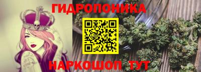 бошки Гусев