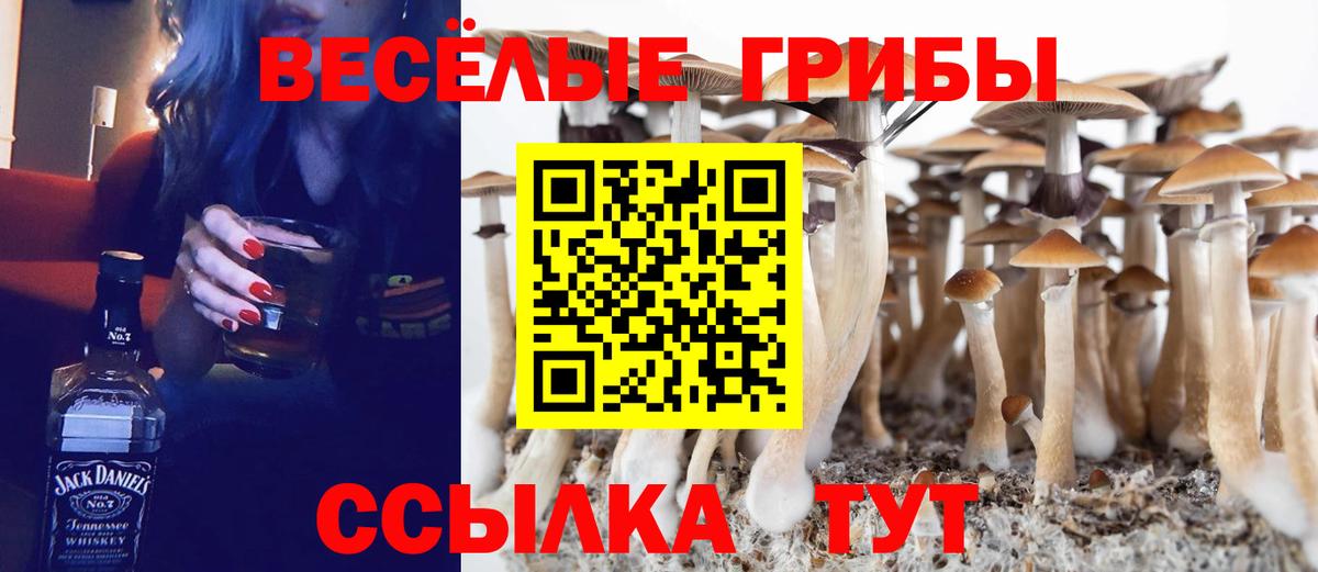 наркошоп  Вход с VPN  Ливны  Псилоцибиновые грибы Psilocybine cubensis 